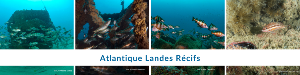 Atlantique Landes Récifs 1