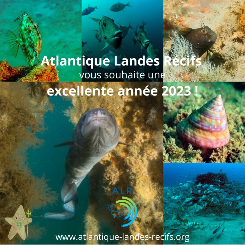 Atlantique Landes Recifs Carte Voeux 2023