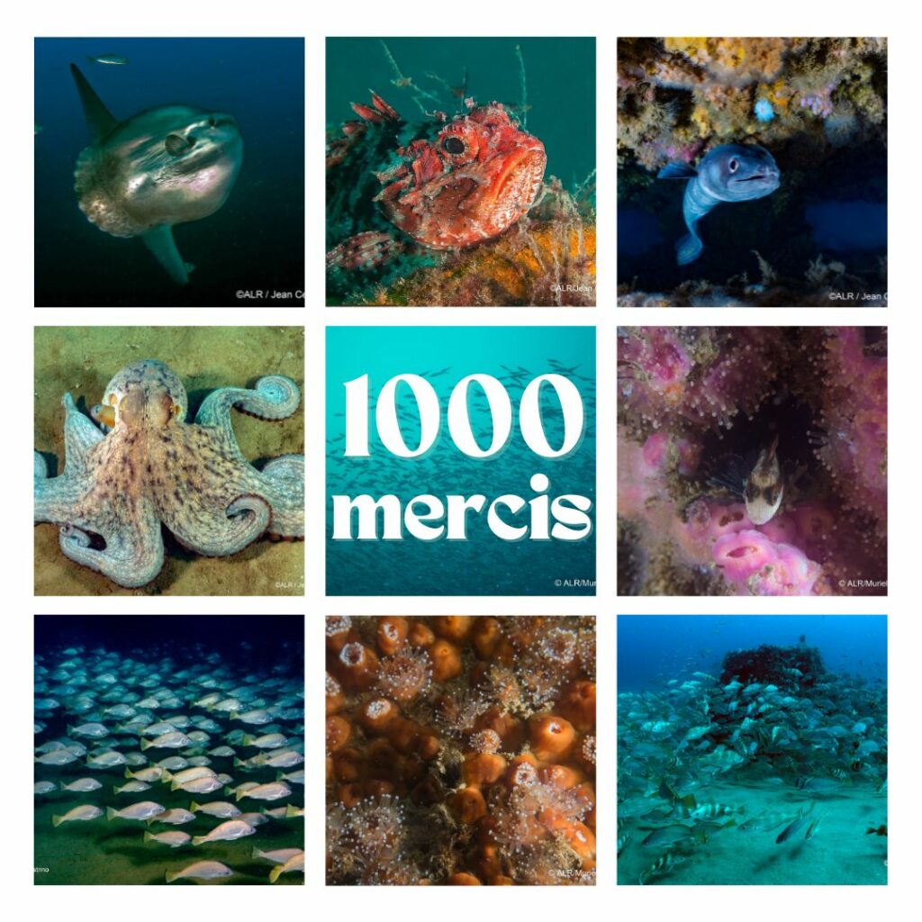 ALR BPC40 MERCI