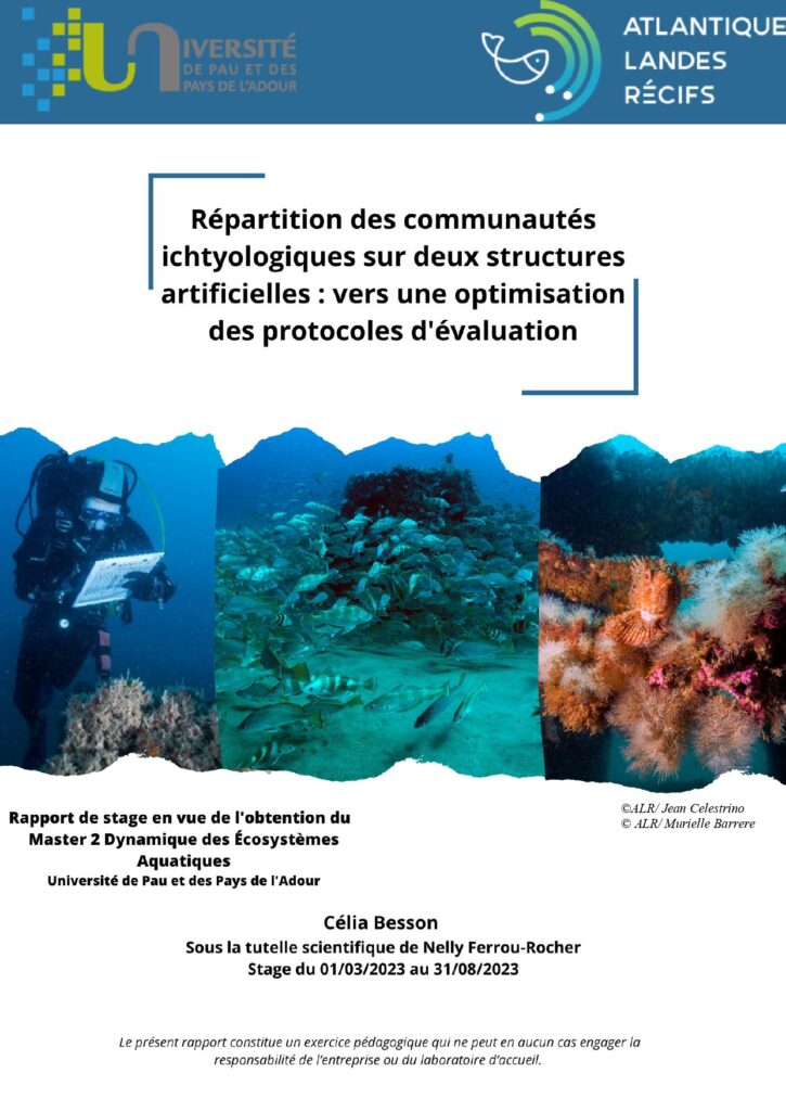 Rapport Celia Besson ALR 1 page 0001 1