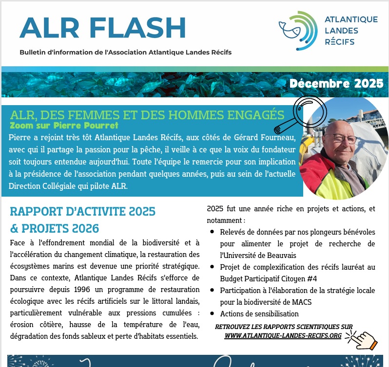 FLASH INFO DEC 2025 ENTETE